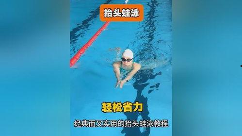 抬头蛙泳教学视频,抬头蛙泳技巧解析与训练方法