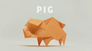 小猪折纸视频,轻松学会折纸艺术