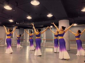 中国舞舞蹈教学视频,中国舞教学视频精华解析