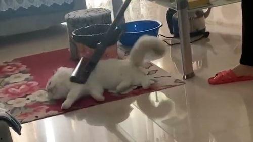 除毛视频,美丽背后的秘密与技巧