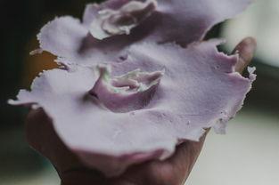 印膜粉视频,高效印膜工艺全解析