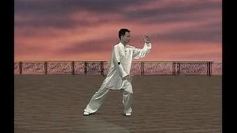 初学太极拳入门基本功视频教程,基本功视频教程精华概览