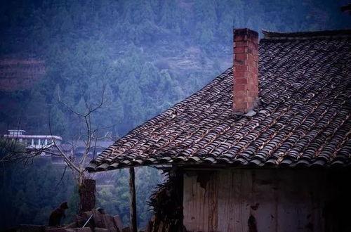 风瓦视频,揭秘风力发电的绿色魅力