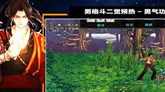 dnf男格斗觉醒视频,华丽变身，技能解析与实战展示