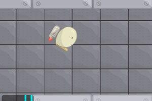 碎蛋视频,揭秘鸡蛋的奇妙世界