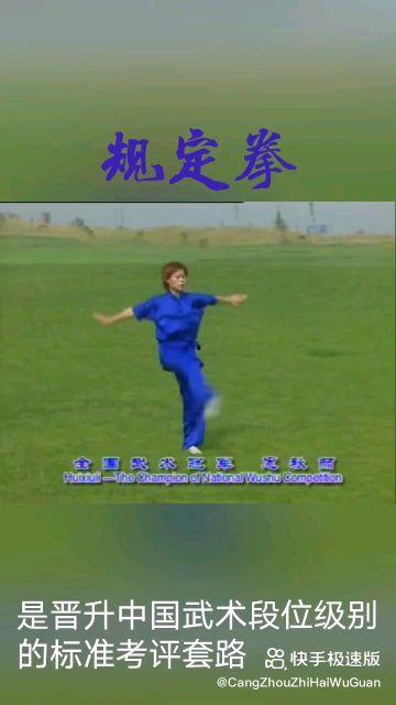 国家规定拳教学视频,拳术教学视频全面解读