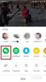 快手怎么转发别人的视频,轻松分享他人精彩瞬间