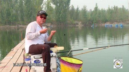 鱼乐无限钓鱼视频,揭秘钓鱼高手们的精彩瞬间