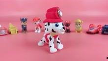 玩具汪汪队玩具视频,欢乐无限的童年回忆