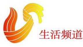 山东电视频道,精彩纷呈,文化盛宴