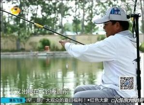 钓鱼培训视频,跟随培训视频解锁垂钓技巧