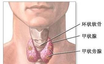 甲状舌管囊肿手术视频